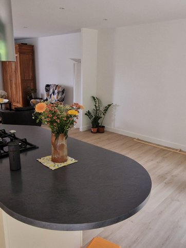 Après rénovation cuisine et salon sol et mur Avrillé